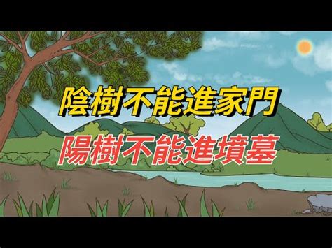 陽樹 種類|陽樹